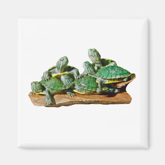 Turtle Afbeelding Magnet (Voorkant)