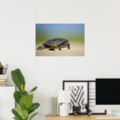 Turtle / Amfibie Close-up Foto Poster (Thuiskantoor)