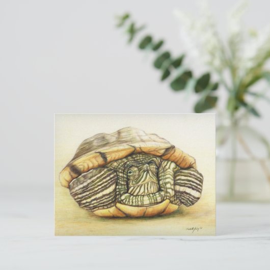 "Turtle" Art Reproduction Briefkaart (Staand voorkant)