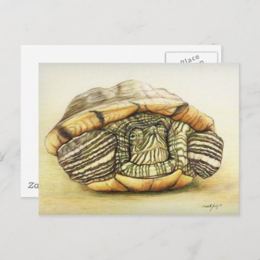 "Turtle" Art Reproduction Briefkaart (Voorkant / Achterkant)