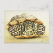 "Turtle" Art Reproduction Briefkaart (Voorkant)
