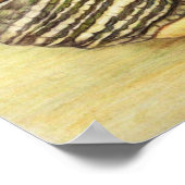 "Turtle" Art Reproduction Print Poster (Hoek)