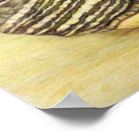 "Turtle" Art Reproduction Print Poster (Hoek)