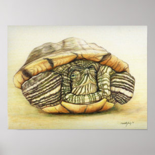 "Turtle" Art Reproduction Print Poster