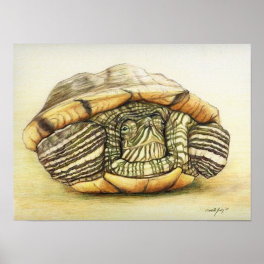 "Turtle" Art Reproduction Print Poster (Voorkant)