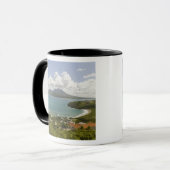Turtle Beach, zuidoost schiereiland, St Kitts, Mok (Voorkant links)