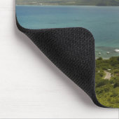 Turtle Beach, zuidoost schiereiland, St Kitts, Muismat (Hoek)