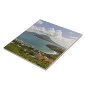Turtle Beach, zuidoost schiereiland, St Kitts, Tegeltje (Zijkant)