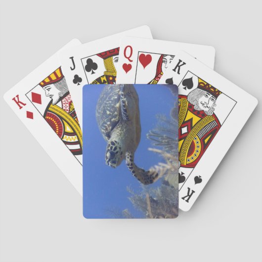 Turtle Bicycle Poker Deck (Achterkant)