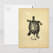 TURTLE BRIEFKAART (Voorkant / Achterkant)