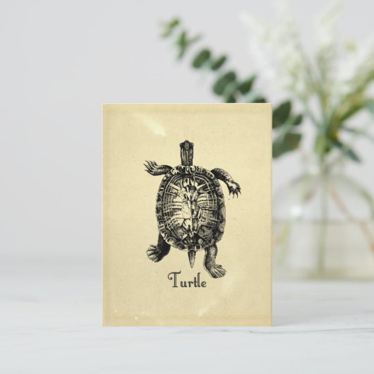 TURTLE BRIEFKAART (Staand voorkant)