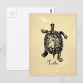  TURTLE BRIEFKAART (Voorkant / Achterkant)