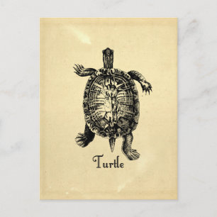  TURTLE BRIEFKAART