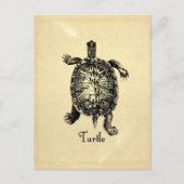 TURTLE BRIEFKAART (Voorkant)