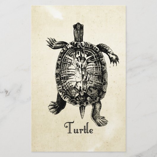  TURTLE BRIEFPAPIER (Voorkant)