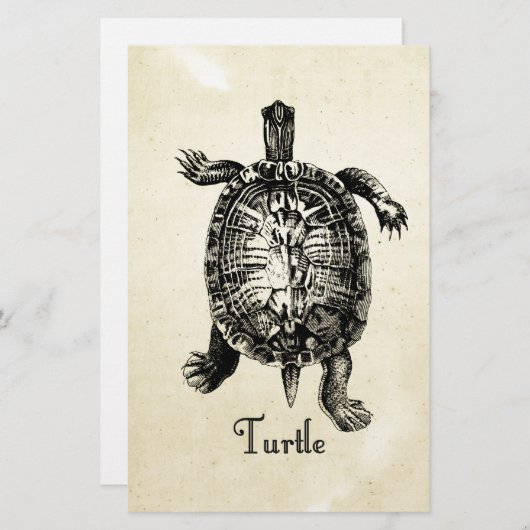  TURTLE BRIEFPAPIER (Voorkant / Achterkant)