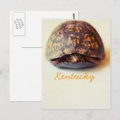Turtle by JerseyFawn Briefkaart (Voorkant / Achterkant)
