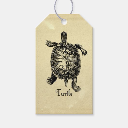  TURTLE CADEAULABEL (Voorkant)