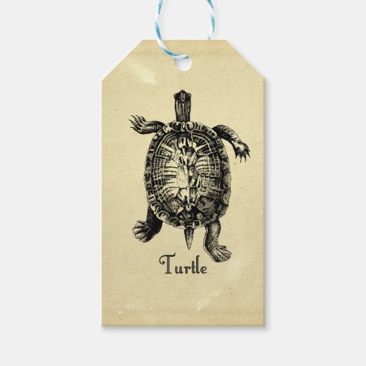  TURTLE CADEAULABEL (Voorkant)