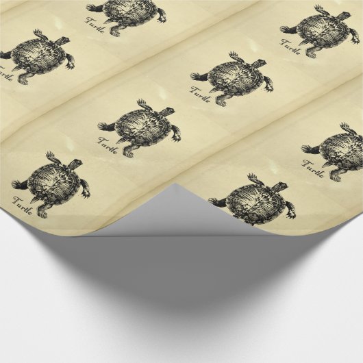  TURTLE CADEAUPAPIER (Hoek)