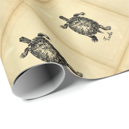  TURTLE CADEAUPAPIER (Rol Hoek)
