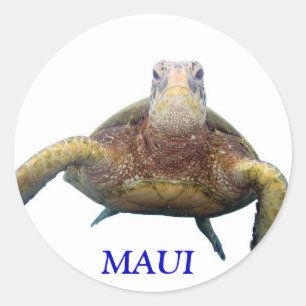 Turtle Chest, MAUI Ronde Sticker