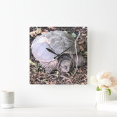 Turtle Clock Vierkante Klok (Huis)