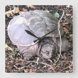 Turtle Clock Vierkante Klok