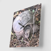 Turtle Clock Vierkante Klok (Hoek)