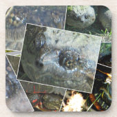 Turtle Collage Bier Onderzetter (Voorkant)