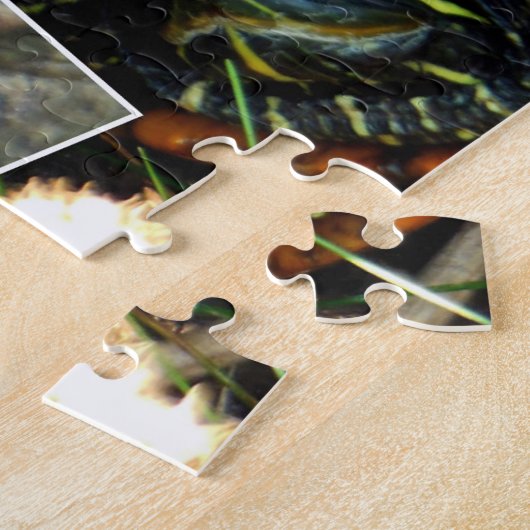Turtle Collage Legpuzzel (Zijkant)