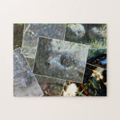 Turtle Collage Legpuzzel (Horizontaal)