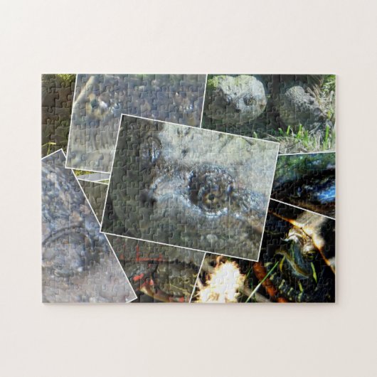 Turtle Collage Legpuzzel (Horizontaal)