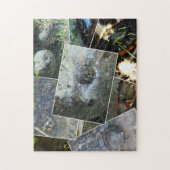 Turtle Collage Legpuzzel (Verticaal)