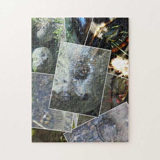 Turtle Collage Legpuzzel (Verticaal)