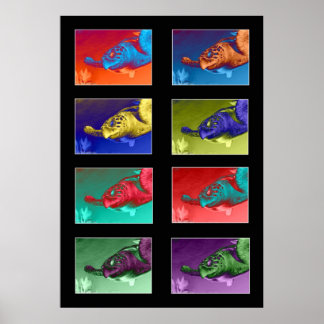 Turtle Color Montage Poster