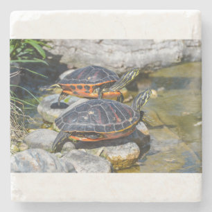 Turtle Cute Animal Kantoor Custom Destiny Destiny' Stenen Onderzetter