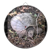 Turtle Dartboard Dartbord (Voorkant)