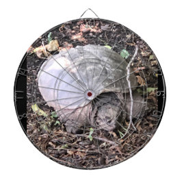Turtle Dartboard Dartbord