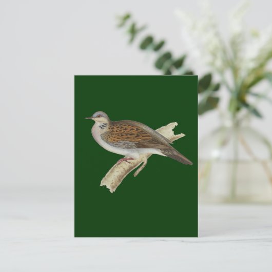 Turtle Dove Briefkaart (Staand voorkant)
