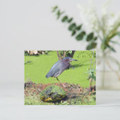 Turtle en Heron South Carolina Briefkaart (Staand voorkant)