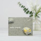 Turtle fan SpongeBob Briefkaart (Staand voorkant)