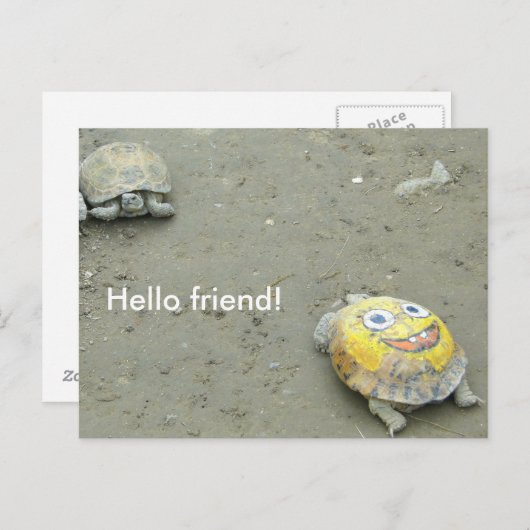 Turtle fan SpongeBob Briefkaart (Voorkant / Achterkant)