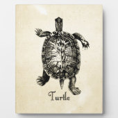  TURTLE FOTOPLAAT (Voorkant)