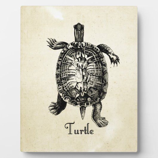  TURTLE FOTOPLAAT (Voorkant)