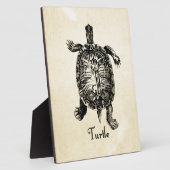  TURTLE FOTOPLAAT (Zijkant)