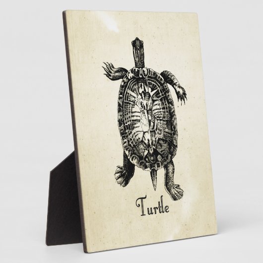  TURTLE FOTOPLAAT (Zijkant)