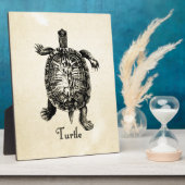  TURTLE FOTOPLAAT (Zijkant)
