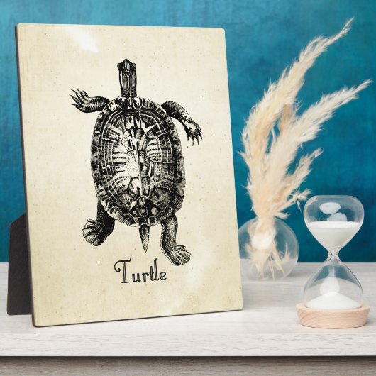  TURTLE FOTOPLAAT (Zijkant)