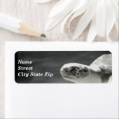 Turtle Fun Etiket (Insitu)